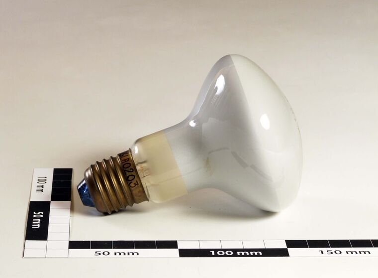 Glühlampe 220 Volt 100 Watt Osram Concentra